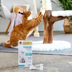 Doppelherz Gelenk Complex Für Katzen -Heimtierbedarf Geschäft doppelherz gelenk complex fuer katzen 195053 0500 none