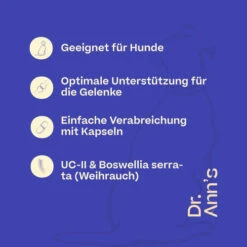 Dr. Ann's Mobility Support Advanced -Heimtierbedarf Geschäft dr anns mobility support advanced 213137 0500 none