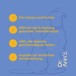 Dr. Ann's Mobility Support Plus -Heimtierbedarf Geschäft dr anns mobility support plus 203063 0500 none