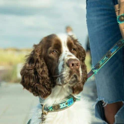 DWAM Halsband Boho Juan -Heimtierbedarf Geschäft dwam halsband boho juan 133658 0500 none