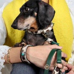 DWAM Halsband Ivy 14 DWAM Halsband Ivy -Heimtierbedarf Geschäft dwam halsband ivy 180688 0500 none