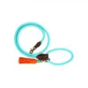 DWAM Hundeleine Türkis -Heimtierbedarf Geschäft dwam hondenriem turquoise 179857 0500 none