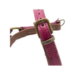 DWAM Hundegeschirr Lou Lou 9 DWAM Hundegeschirr Lou Lou -Heimtierbedarf Geschäft dwam hondentuigje lou lou 182158 0500 none