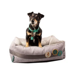 DWAM Jungle Love Korb 9 DWAM Jungle Love Korb -Heimtierbedarf Geschäft dwam jungle love mand 186595 0500 none