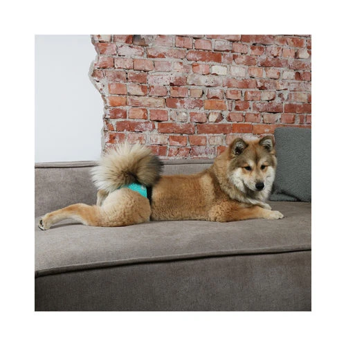 Ebi Läufigkeitshose 4 Ebi Läufigkeitshose – Bild 2