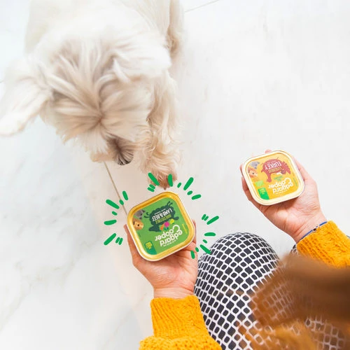 Edgard & Cooper Adult - Lamm & Rind - Im Schälchen 4 Edgard & Cooper Adult - Lamm & Rind - Im Schälchen – Bild 2