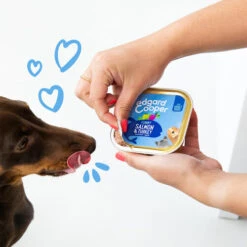 Edgard & Cooper Adult - Lachs Und Truthahn - Schale 10 Edgard & Cooper Adult - Lachs Und Truthahn - Schale -Heimtierbedarf Geschäft edgard cooper adult zalm kalkoen kuipje 208616 0500 none