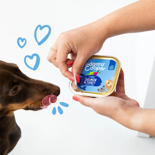 Edgard & Cooper Adult - Lachs Und Truthahn - Schale 5 Edgard & Cooper Adult - Lachs Und Truthahn - Schale – Bild 3