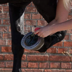 Equi Protecta Blue Wonder Gel -Heimtierbedarf Geschäft equi protecta blue wonder gel 161240 0500 none