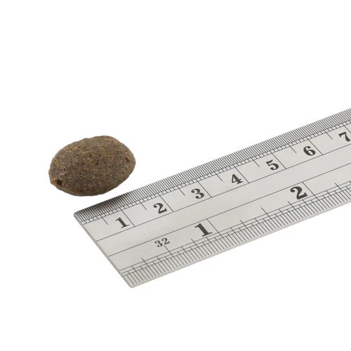 Fish4Dogs Finest Adult Complete - Lachs Große Brocken 4 Fish4Dogs Finest Adult Complete - Lachs Große Brocken – Bild 2