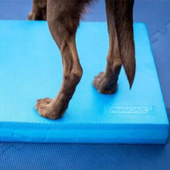 FitPAWS Balance Pad 9 FitPAWS Balance Pad -Heimtierbedarf Geschäft fitpaws balance pad 176131 0500 none