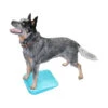 FitPAWS Balance Ramp 1 FitPAWS Balance Ramp -Heimtierbedarf Geschäft fitpaws balance ramp 176140 0500 none