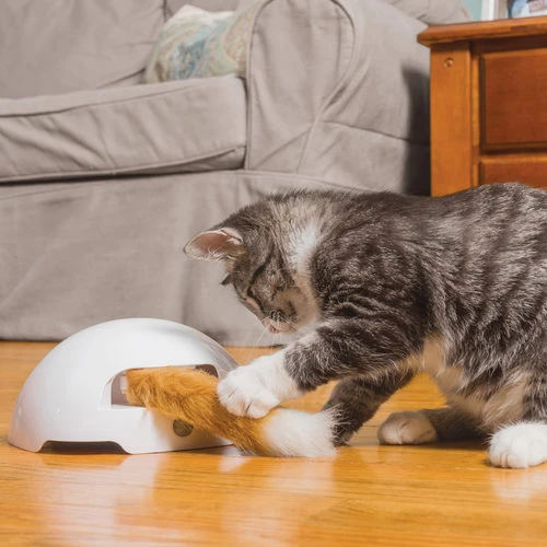 FroliCat Fox 7 FroliCat Fox – Bild 5