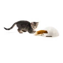 FroliCat Fox 10 FroliCat Fox -Heimtierbedarf Geschäft frolicat fox 136600 0500 none