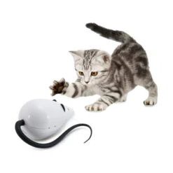 FroliCat RoloRat -Heimtierbedarf Geschäft frolicat rolorat 136585 0500 none