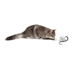 FroliCat RoloRat -Heimtierbedarf Geschäft frolicat rolorat 136588 0500 none