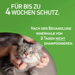 Frontline Combo Spot On Katze -Heimtierbedarf Geschäft frontline combo spot on kat 208217 0500 none