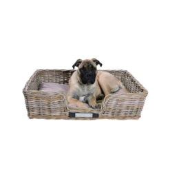 Happy House Weidenkorb Eckig -Heimtierbedarf Geschäft happy house rieten mand recht 167215 0500 none