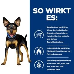 Hill's Metabolic Mini - Prescription Diet - Canine -Heimtierbedarf Geschäft hills metabolic mini prescription diet canine 218075 0500 none