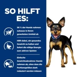 Hill's Metabolic Mini - Prescription Diet - Canine -Heimtierbedarf Geschäft hills metabolic mini prescription diet canine 218076 0500 none