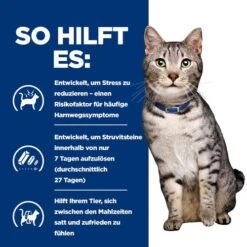 Hill's Prescription Diet - Feline - C/d Urinary Stress + Metabolic 12 Hill's Prescription Diet - Feline - C/d Urinary Stress + Metabolic -Heimtierbedarf Geschäft hills prescription diet feline cd urinary stress metabolic 212822 0500 none