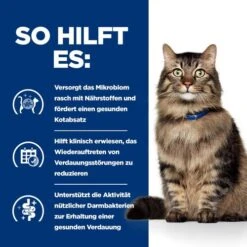Hill's Prescription Diet - Gastrointestinal Biome - Ragout - Katze -Heimtierbedarf Geschäft hills prescription diet gastrointestinal biome stoofpotje kattenvoer 211994 0500 none