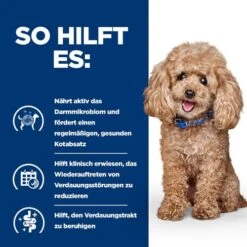 Hill's Prescription Diet Gastrointestinal Biome - Canine - Mini -Heimtierbedarf Geschäft hills prescription diet gastrointestinal biome canine mini 211877 0500 none