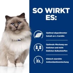 Hill's R/d - Weight Reduction - Prescription Diet - Feline -Heimtierbedarf Geschäft hills rd weight reduction prescription diet feline 218098 0500 none