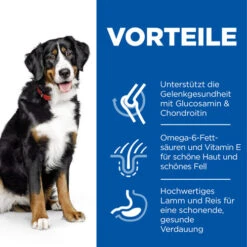 Hill's Science Plan - Adult - Large - Lamm -Heimtierbedarf Geschäft hills science plan adult large lamb 218816 0500 none