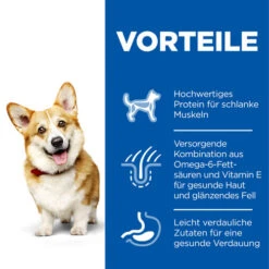 Hill's Science Plan - Small & Mini Adult Dog 13 Hill's Science Plan - Small & Mini Adult Dog -Heimtierbedarf Geschäft hills science plan adult small miniature 218867 0500 none