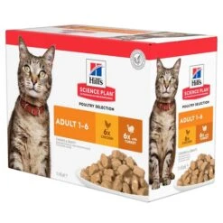 Hill's Science Plan - Feline Adult - Chicken/Poultry -Heimtierbedarf Geschäft hills science plan feline adult chickenpoultry 143024 0500 none
