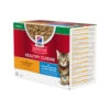 Hill's Science Plan - Healthy Cuisine - Kitten -Heimtierbedarf Geschäft hills science plan healthy cuisine stoofpotjes kitten 201671 0500 none
