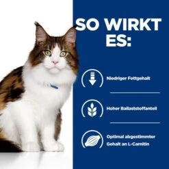 Hill's W/d Low Fat/Diabetes/Colitis - Prescription Diet - Feline -Heimtierbedarf Geschäft hills wd low fatdiabetescolitis prescription diet feline 217972 0500 none