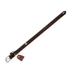 Heimtierbedarf Geschäft -Heimtierbedarf Geschäft hunter halsband cody 116502 0500 none