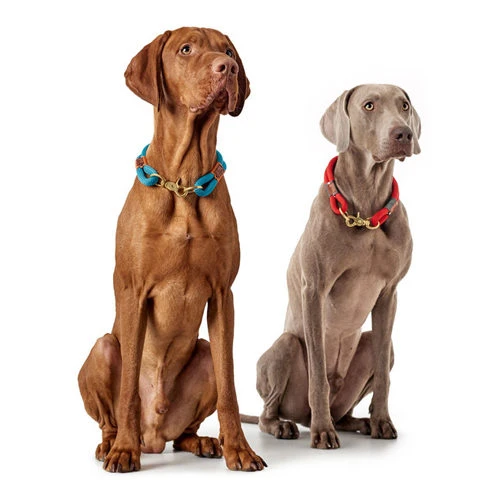 Hunter Halsband Oss 6 Hunter Halsband Oss – Bild 4