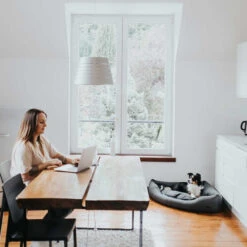 Hunter Eckkorb Livingstone - Grau -Heimtierbedarf Geschäft hunter hoekmand livingstone grijs 175903 0500 none