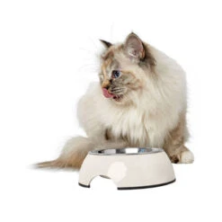 Hunter Melamin Napf - Weiß 11 Hunter Melamin Napf - Weiß -Heimtierbedarf Geschäft hunter melamine voer en drinkbak wit 169570 0500 none