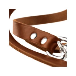 Hunter Trainingsleine - Braun 9 Hunter Trainingsleine - Braun -Heimtierbedarf Geschäft hunter trainingsriem bruin 175345 0500 none