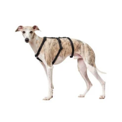 Hunter Vario Rapid Sicherheitsgeschirr - Schwarz -Heimtierbedarf Geschäft hunter vario rapid veiligheidsharnas zwart 169501 0500 none