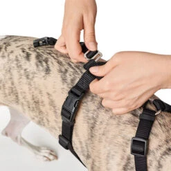 Hunter Vario Rapid Sicherheitsgeschirr - Schwarz -Heimtierbedarf Geschäft hunter vario rapid veiligheidsharnas zwart 169504 0500 none