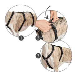 Hunter Vario Rapid Sicherheitsgeschirr - Schwarz -Heimtierbedarf Geschäft hunter vario rapid veiligheidsharnas zwart 169510 0500 none