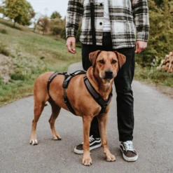 Hunter Sicherheitsgeschirr Maldon -Heimtierbedarf Geschäft hunter veiligheidsharnas maldon 221547 0500 none