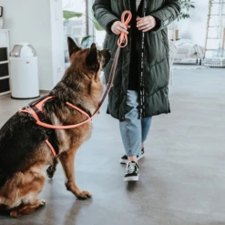 Hunter Sicherheitsgeschirr Maldon -Heimtierbedarf Geschäft hunter veiligheidsharnas maldon 221557 0500 none