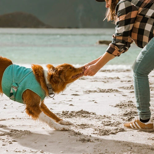 Hurtta Cooling Wrap - Hellblau 5 Hurtta Cooling Wrap - Hellblau – Bild 3