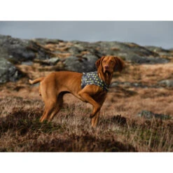 Hurtta Go Geschirr Storm Grey -Heimtierbedarf Geschäft hurtta go harness storm grey 201305 0500 none