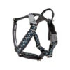 Hurtta Razzle Dazzle Y-Harness - Blackberry 2 Hurtta Razzle Dazzle Y-Harness - Blackberry -Heimtierbedarf Geschäft hurtta razzle dazzle harness blackberry 175969 0500 none