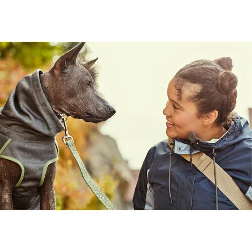 Hurtta Razzle-Dazzle Blackberry 4 Hurtta Razzle-Dazzle Blackberry – Bild 2