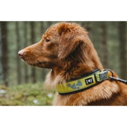 Hurtta Weekend Warrior Halsband -Heimtierbedarf Geschäft hurtta weekend warrior collar 189090 0500 none
