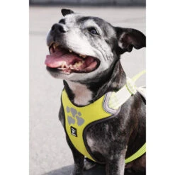 Hurtta Weekend Warrior Geschirr -Heimtierbedarf Geschäft hurtta weekend warrior harness 189093 0500 none