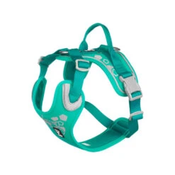 Hurtta Weekend Warrior Geschirr -Heimtierbedarf Geschäft hurtta weekend warrior harness 203807 0500 none